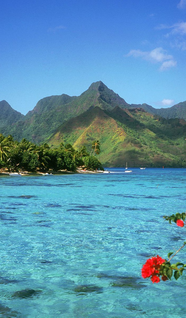 Спокойная Лагуна, США