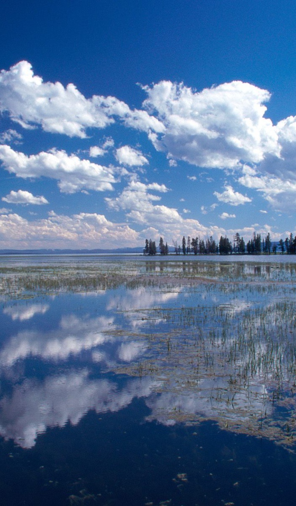 Йеллоустонское Озеро, США