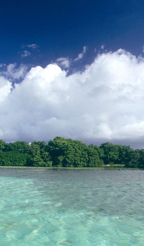 Остров Los Castilos