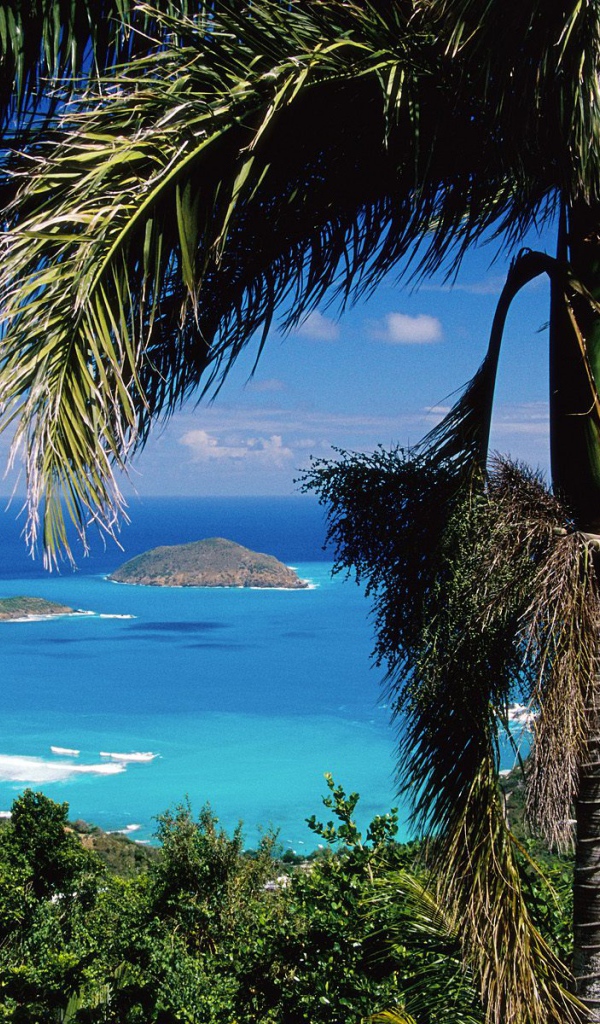 Острова Брас