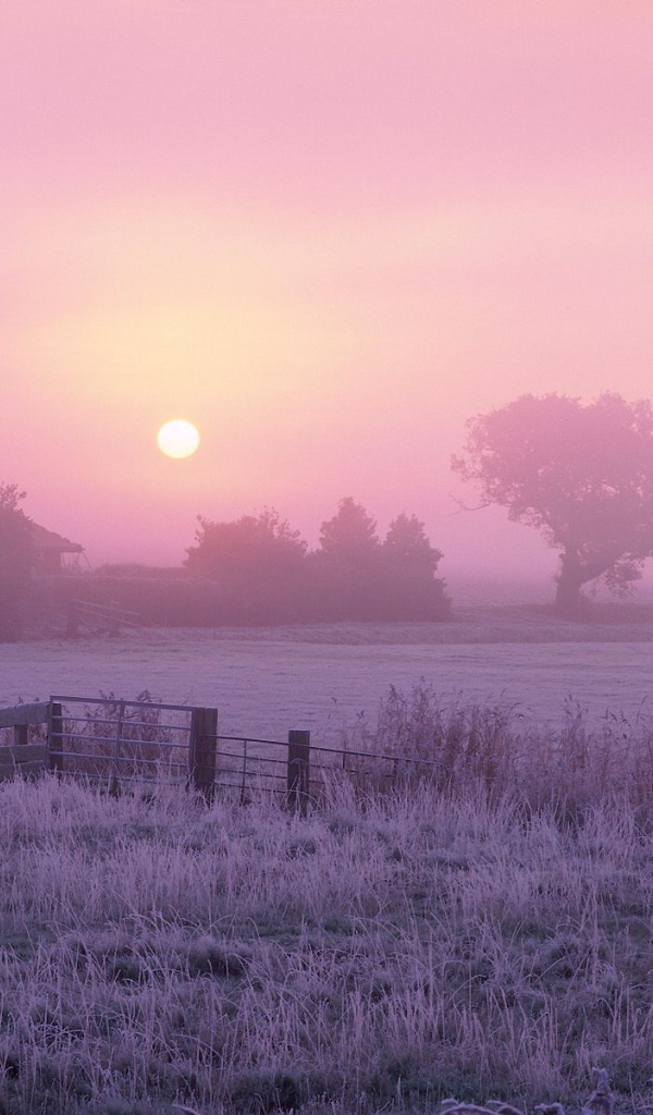 Сельхозугодья