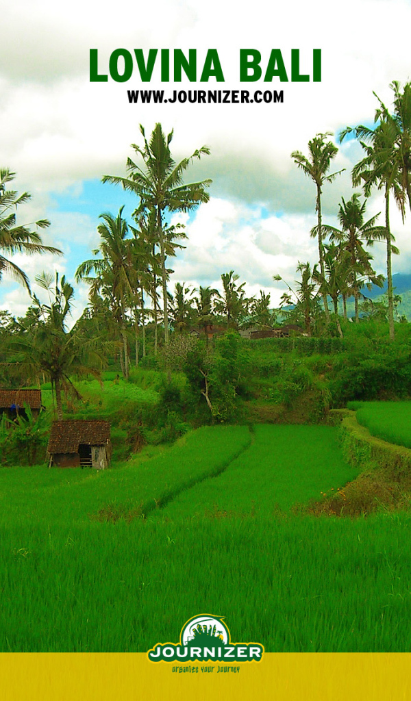 Lovina Бали