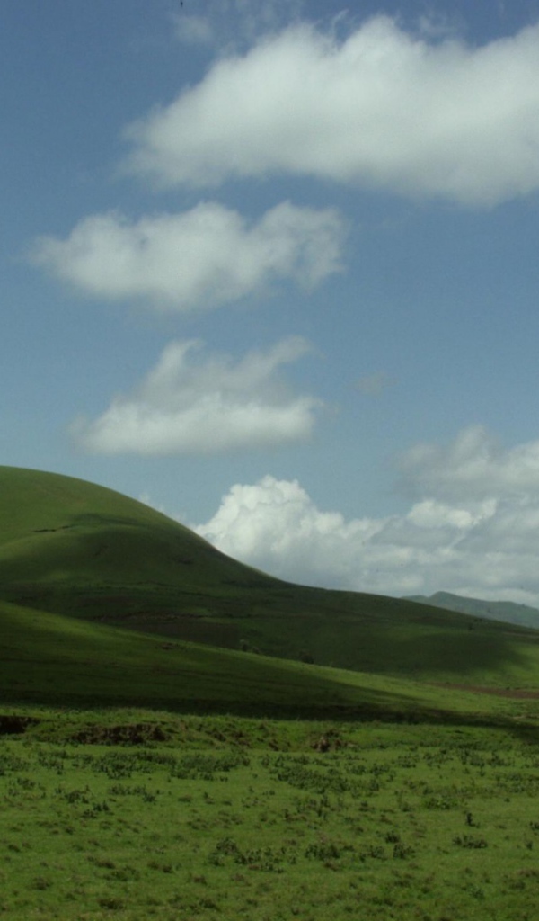 Место в Танзании