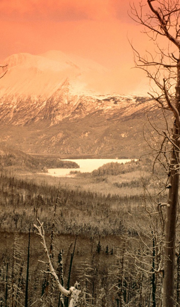 Охваченный зимой