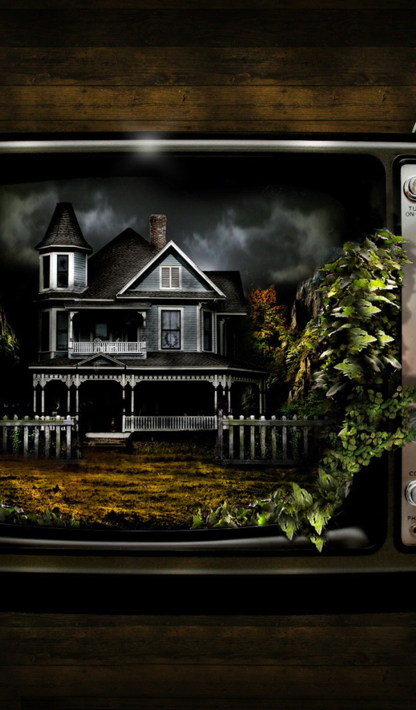 3D Телевидение