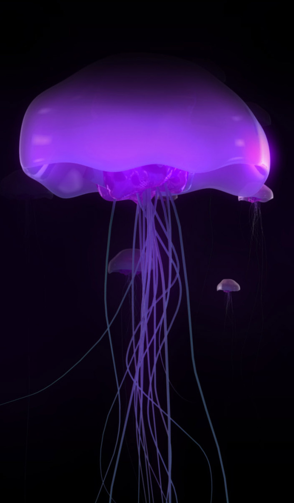 Медузы