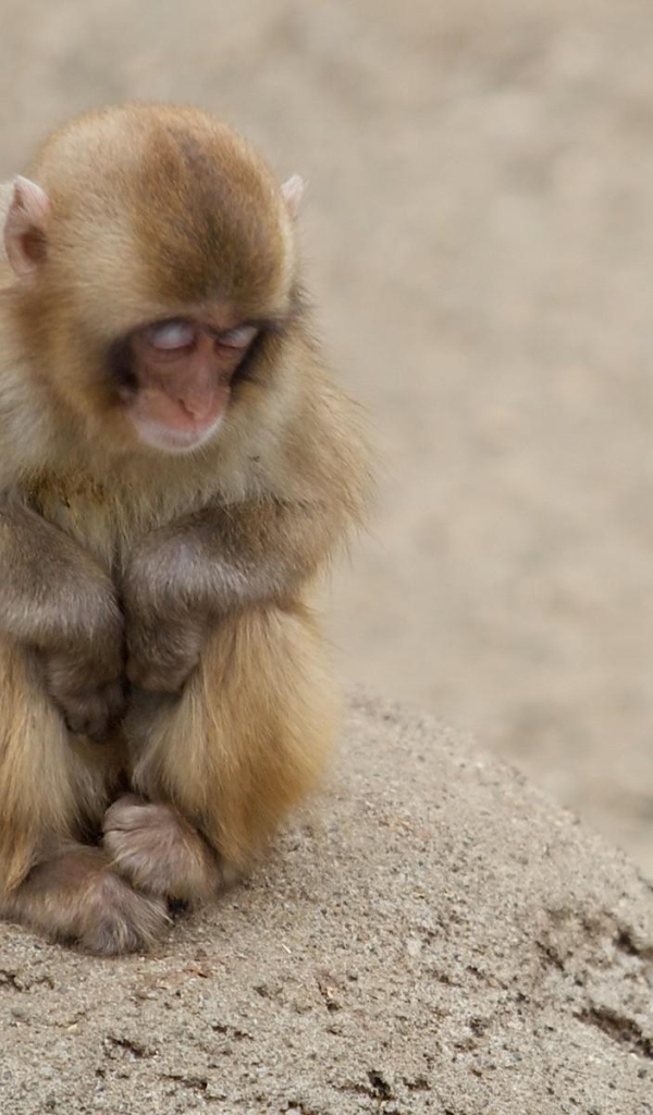 Холодная пора