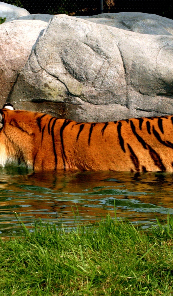 Спасение от жары