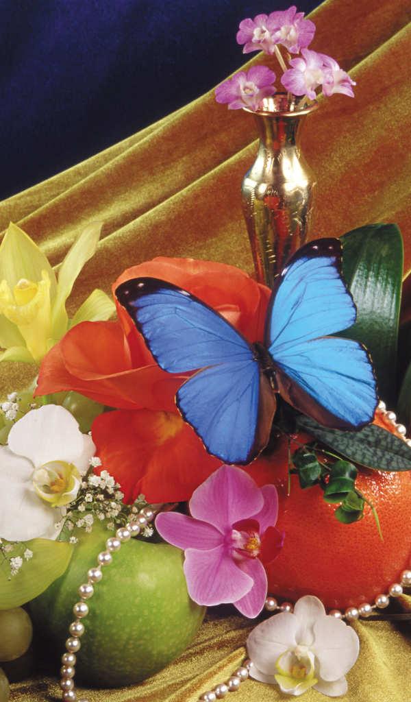 Прекрасная синяя бабочка