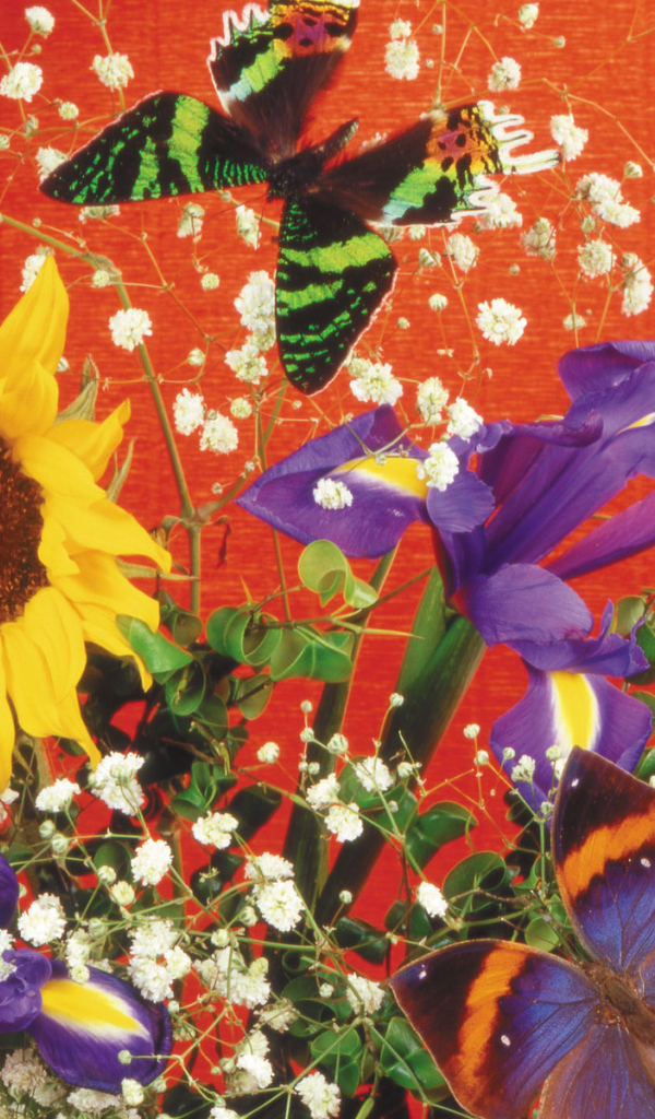 Бабочка и букет