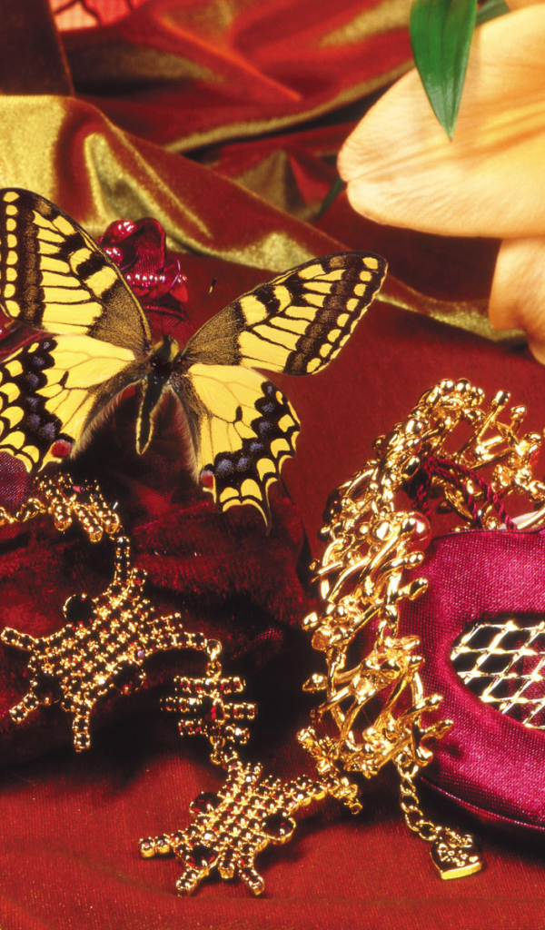 Бабочка и бархат