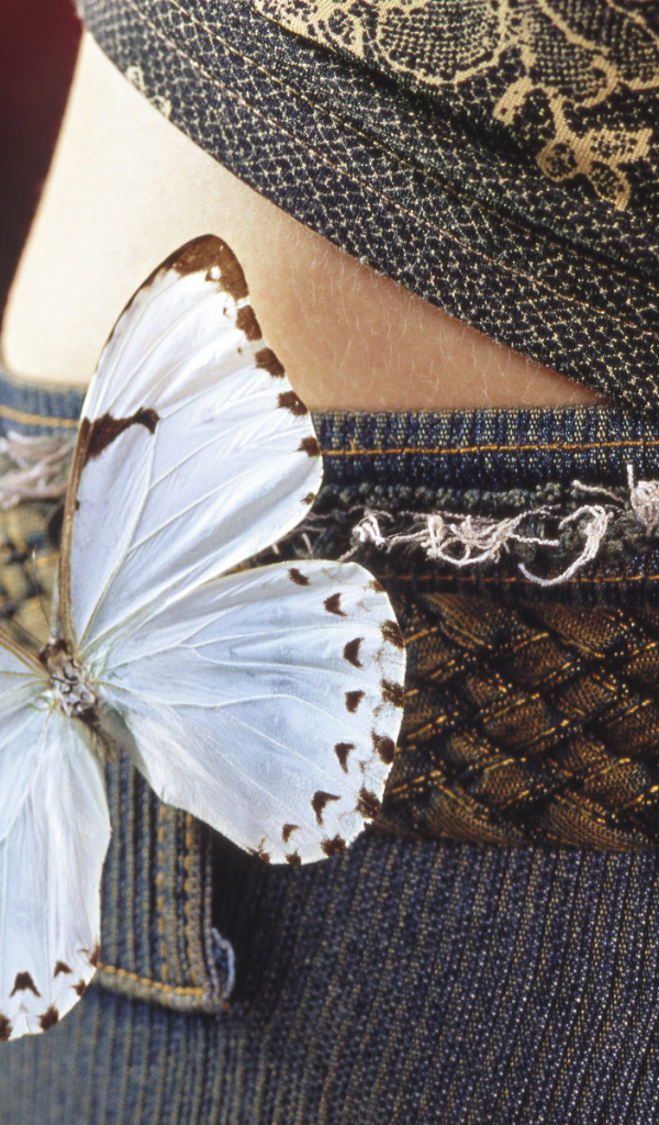 Бабочка на бедрах