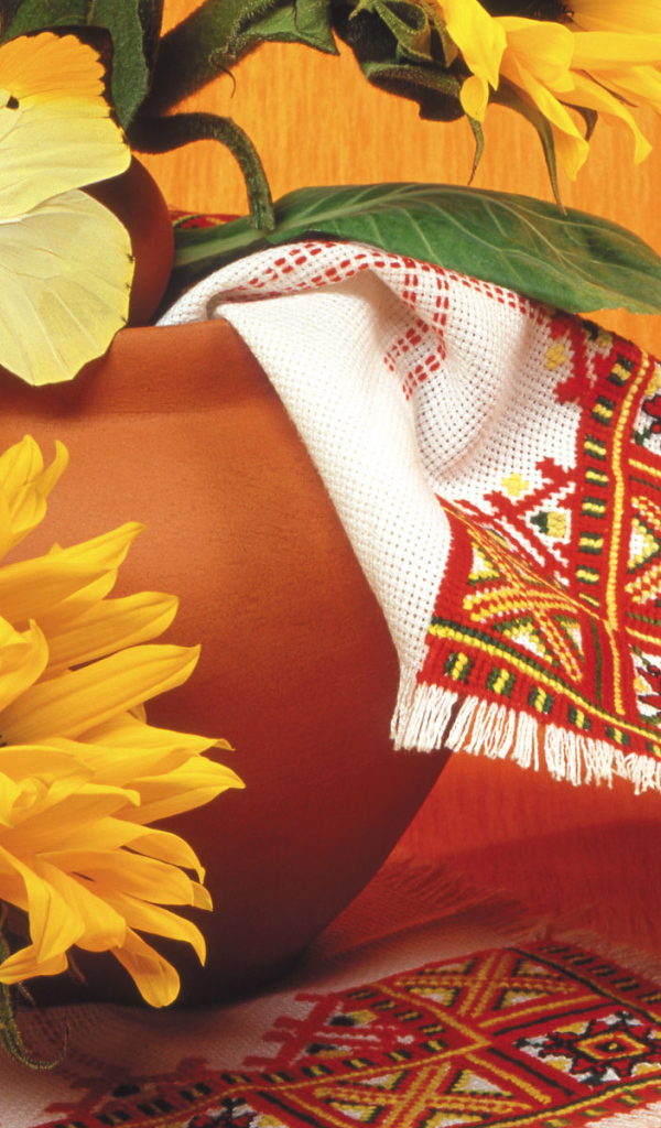 Красивая желтая бабочка на горшке