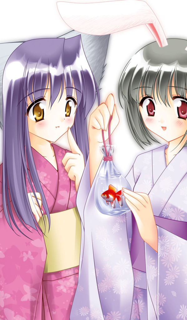 Кошка и Кролик