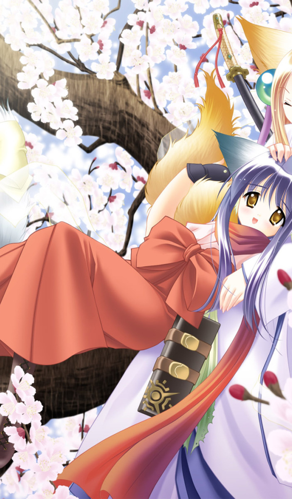 Под ветвями сакуры