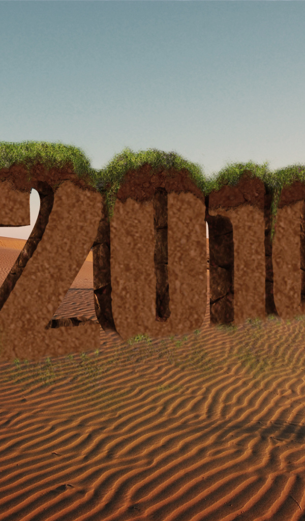 Новый год 2010 пустыня