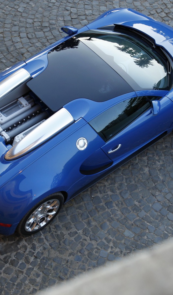 Спортивный синий Bugatti