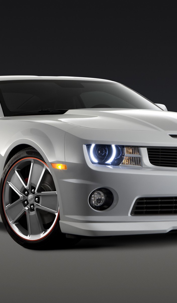 Спортивный Шевроле