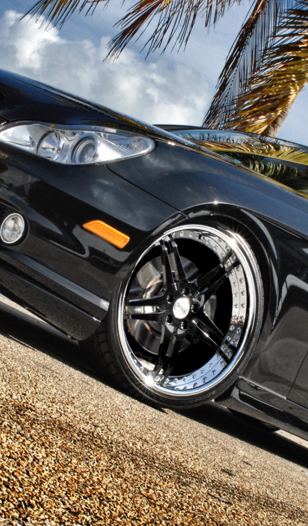 Черный Мерин