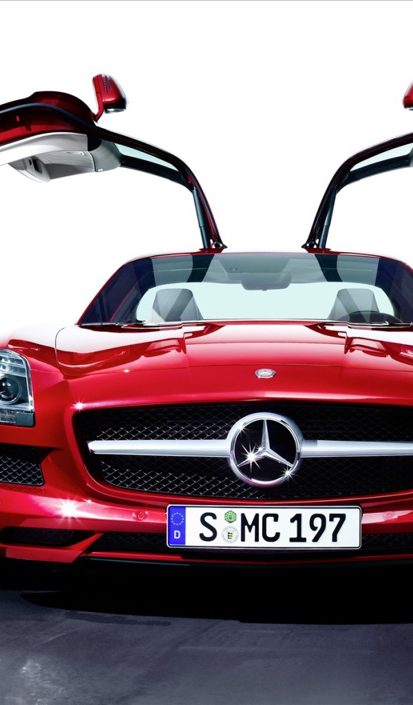 Красивый Мерин