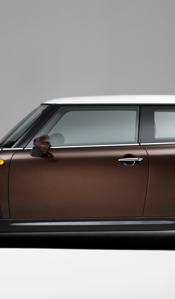 Коричневый Мини