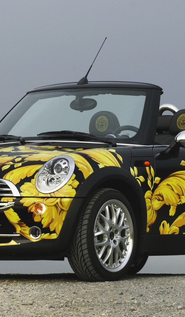 Мини Купер аэрография