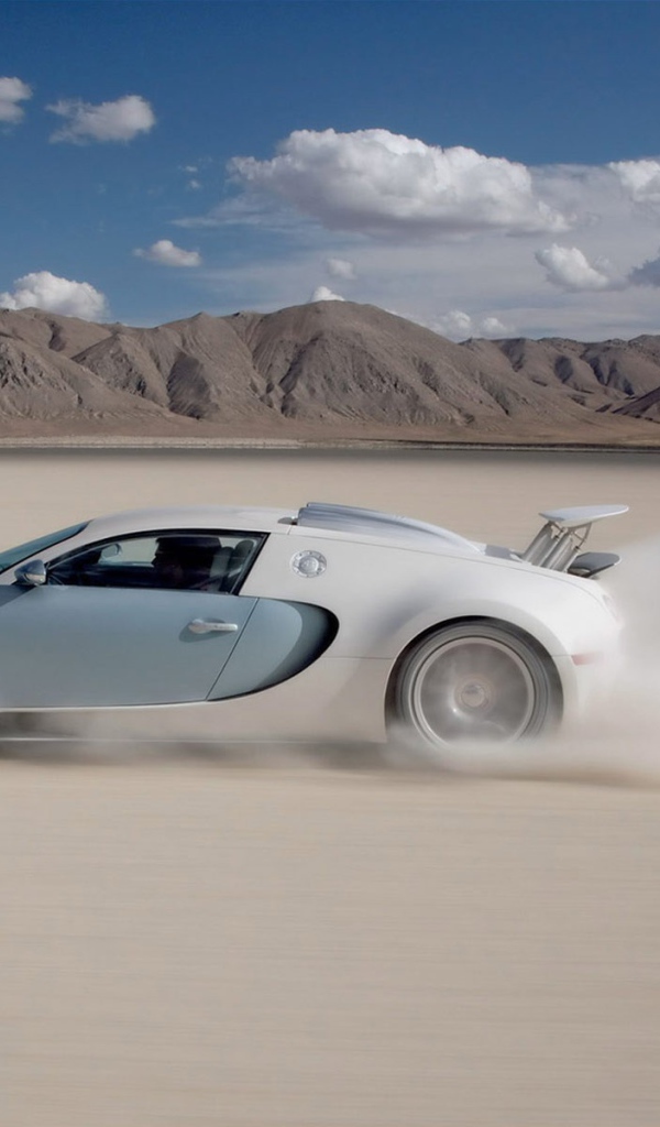 Гонки в пустыне