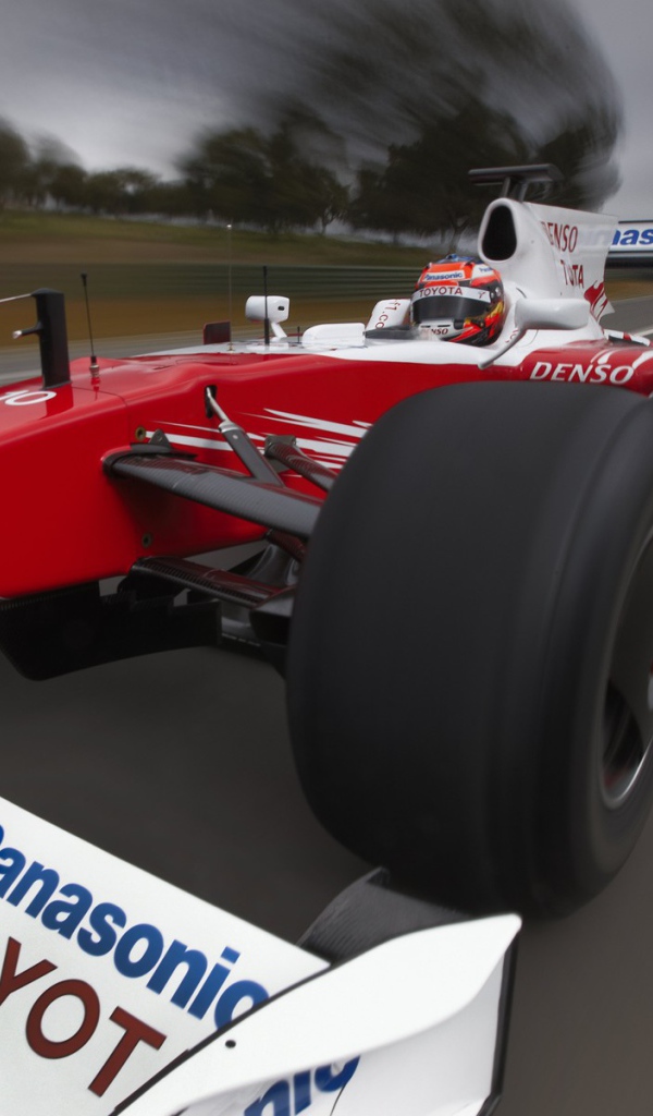 Гонки Формула 1