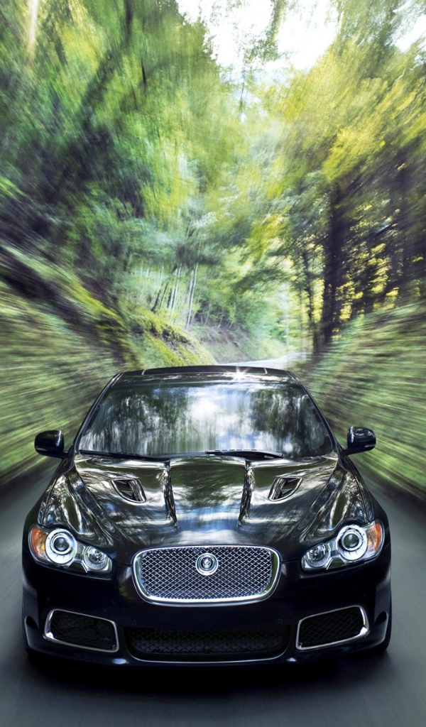 Огромная скорость