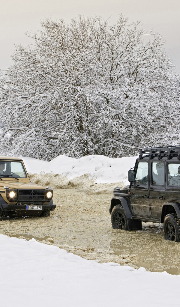 Внедорожники