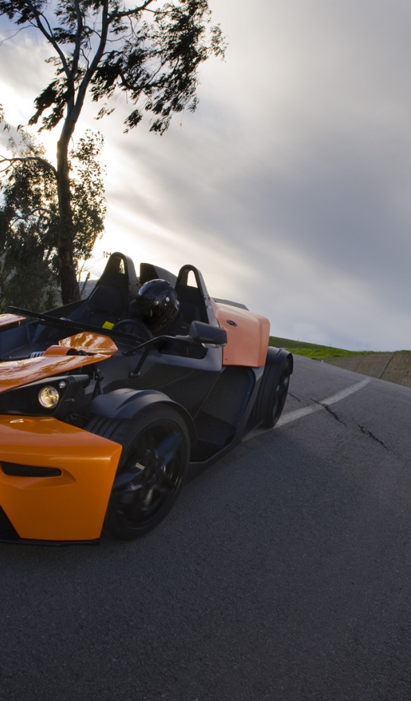 Необычный спорткар