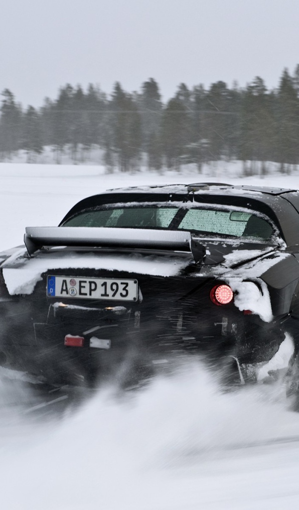 Зимняя гонка