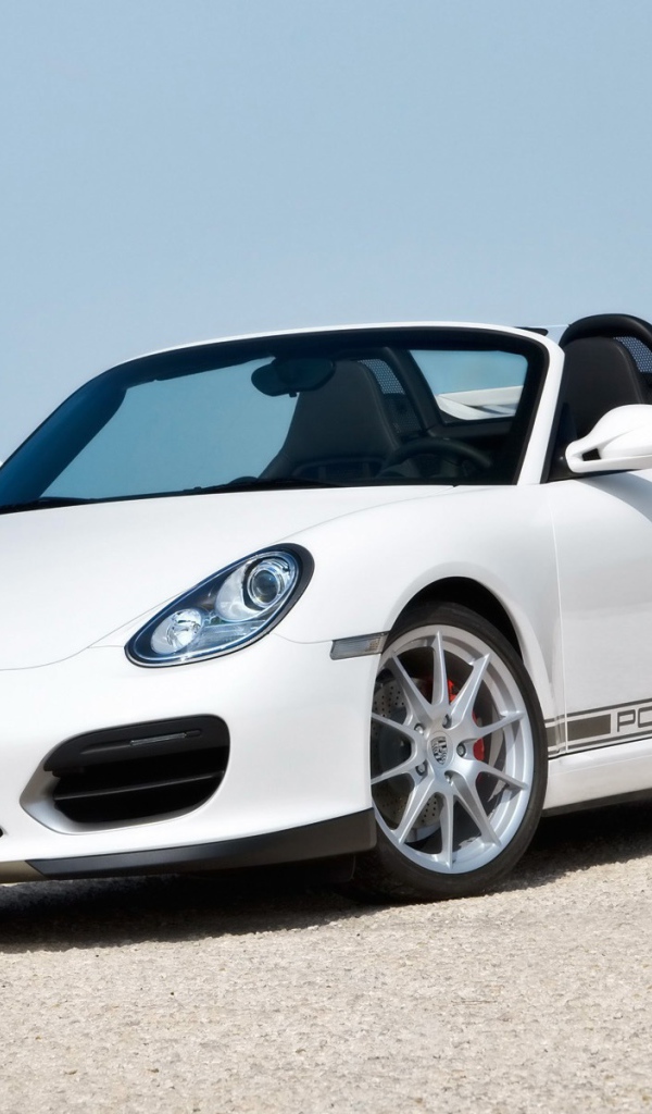 Porsche Boxster Spyder 2010