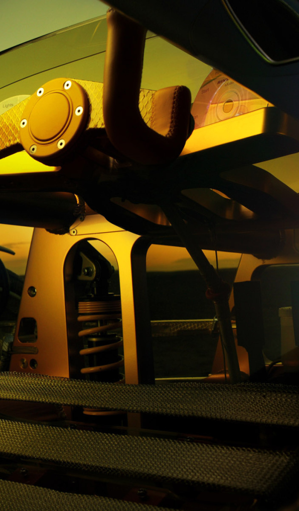 Автомобиль для нудистов