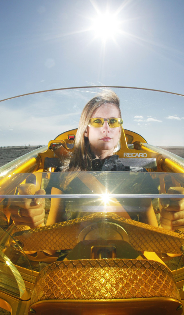 Лобовое стекло концепт