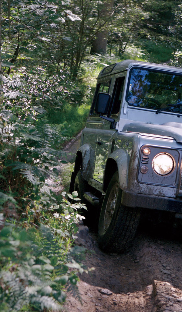 Непроходимая дорога