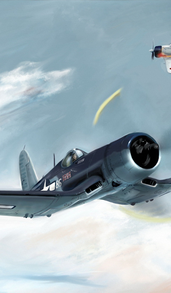 Воздушный бой