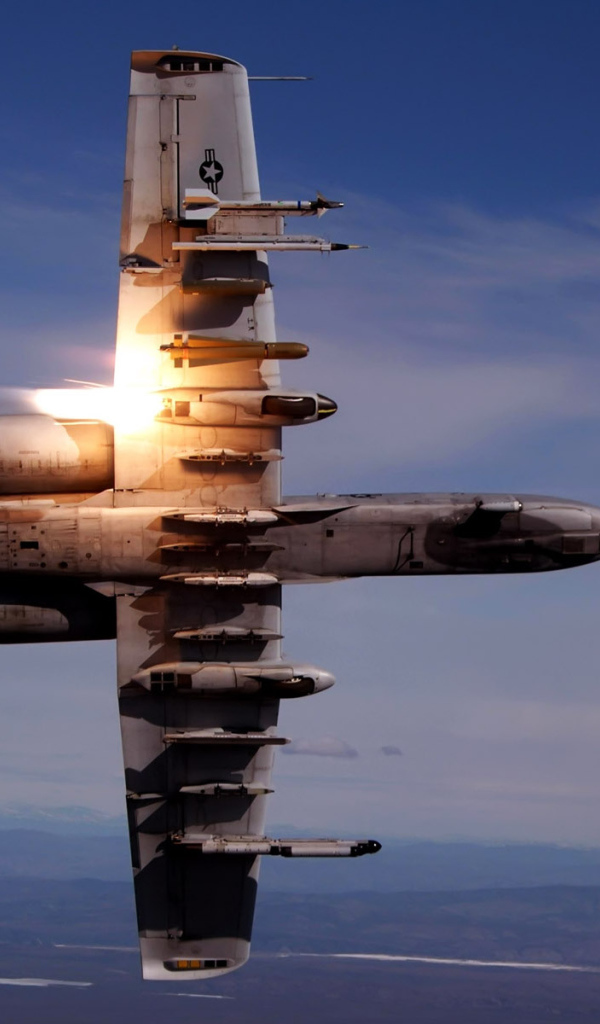 Военная авиация / боевой истребитель