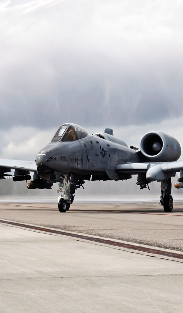 Военная авиация / истребитель на посадочной полосе