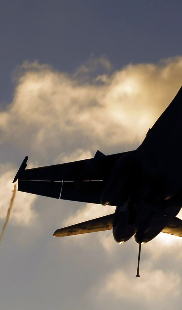 Военная авиация / на посадке