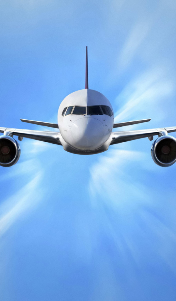 Птица счастья завтрашнего дня