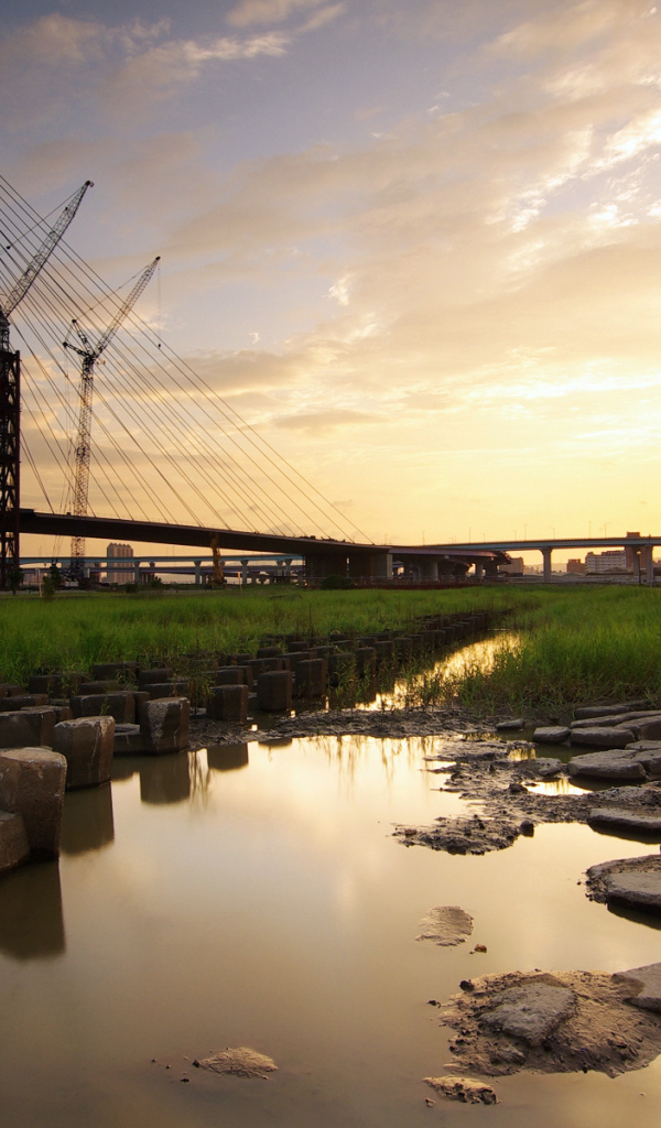 Пруд у моста