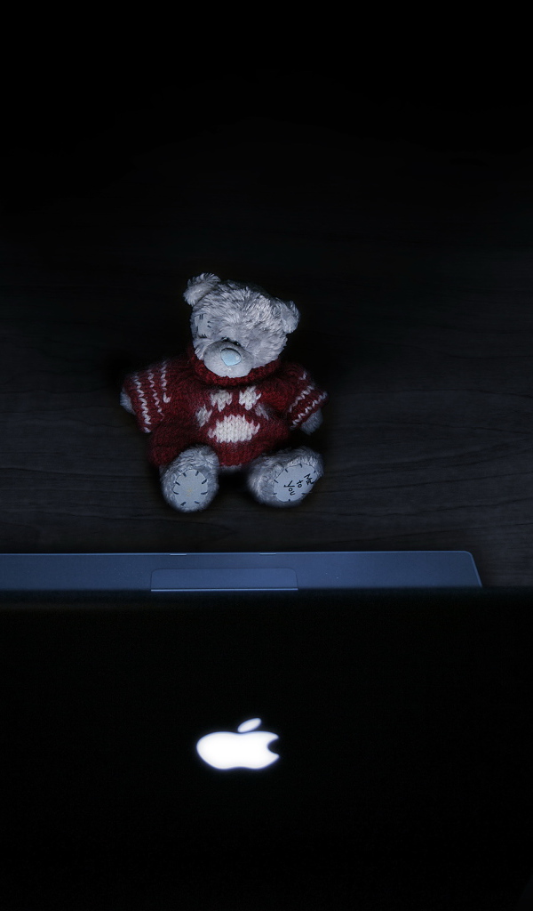 Игрушка у ноутбука