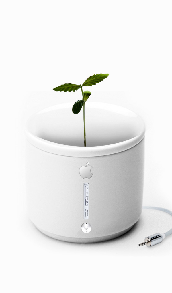 Apple iFlower