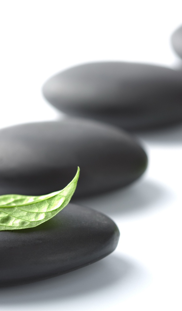 Черная галька