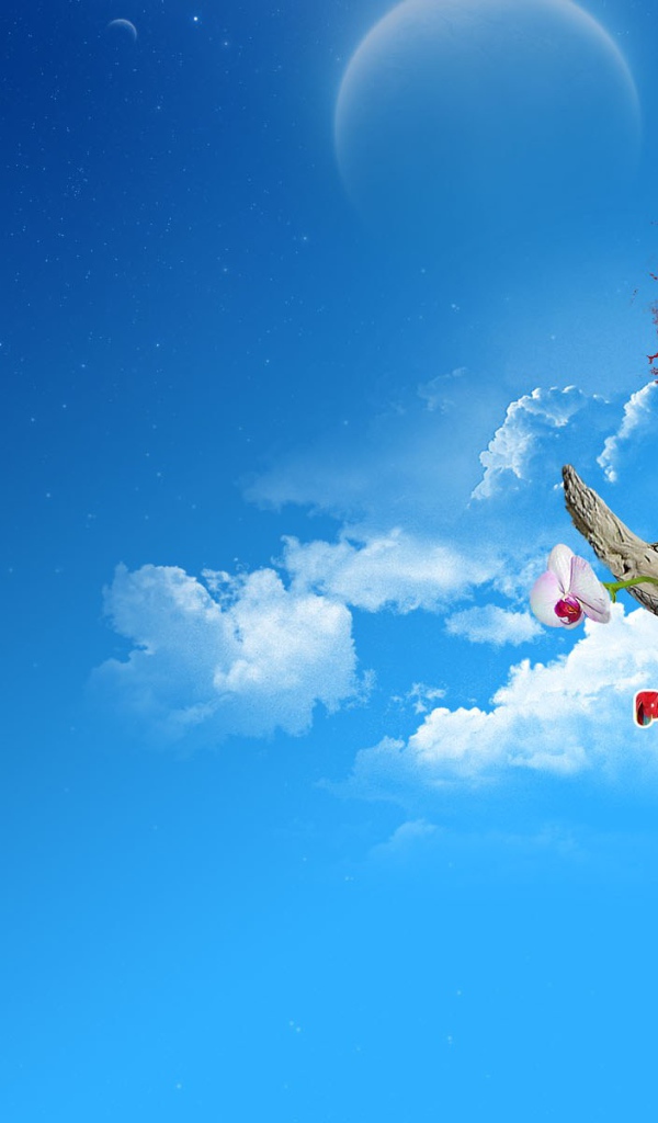 Красочный попугай