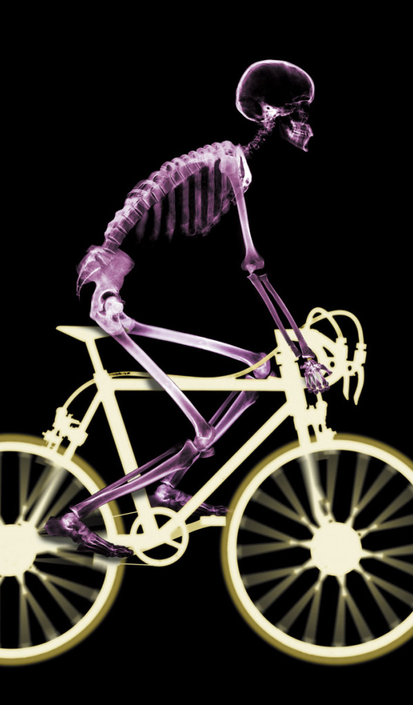 Велосипедист