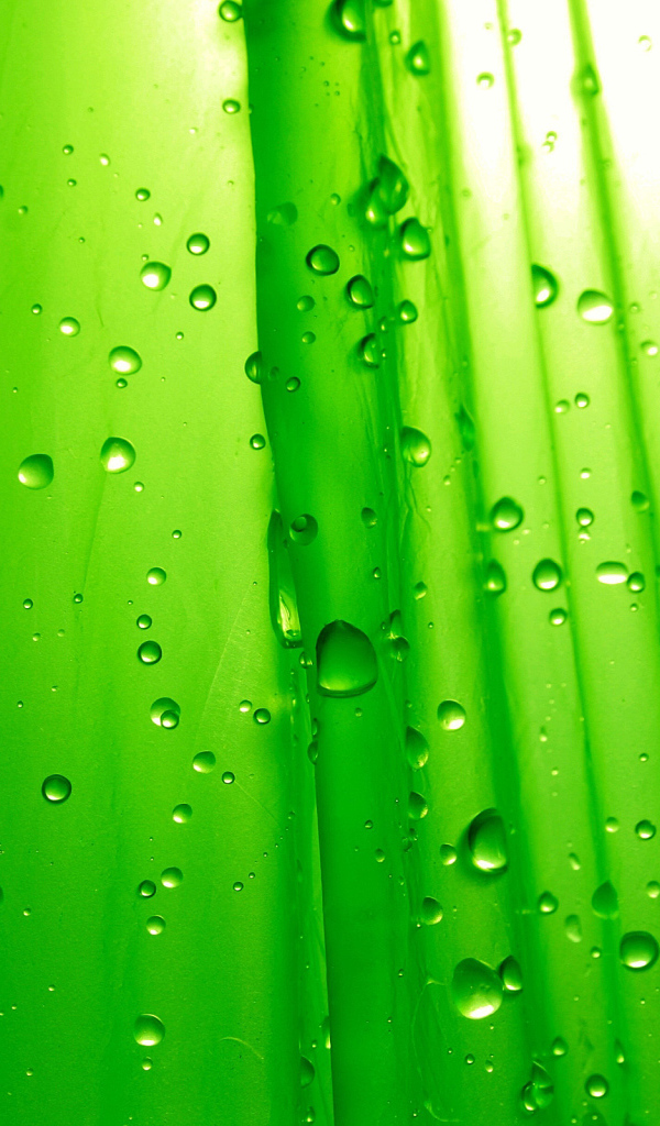 Зеленые капли