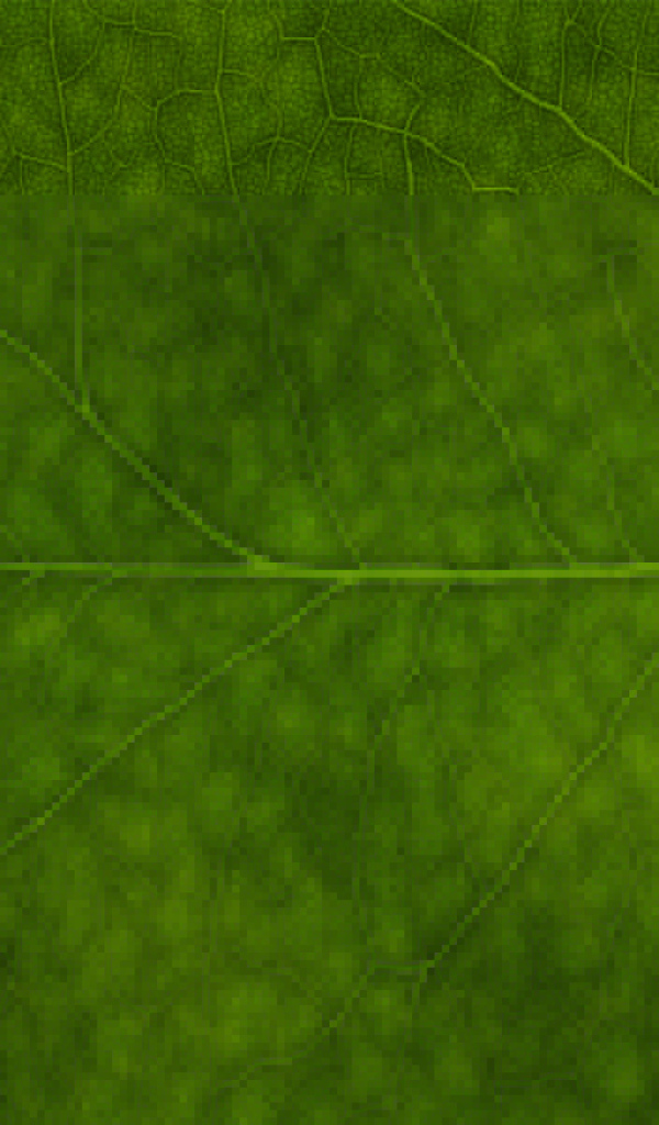 Зеленая листва