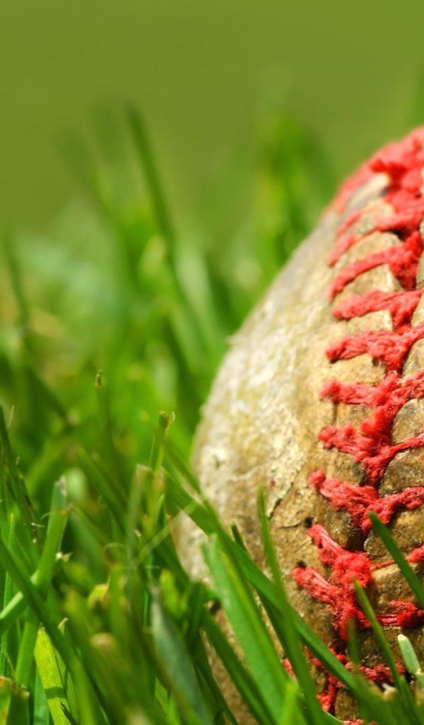 Зеленая трава и мяч